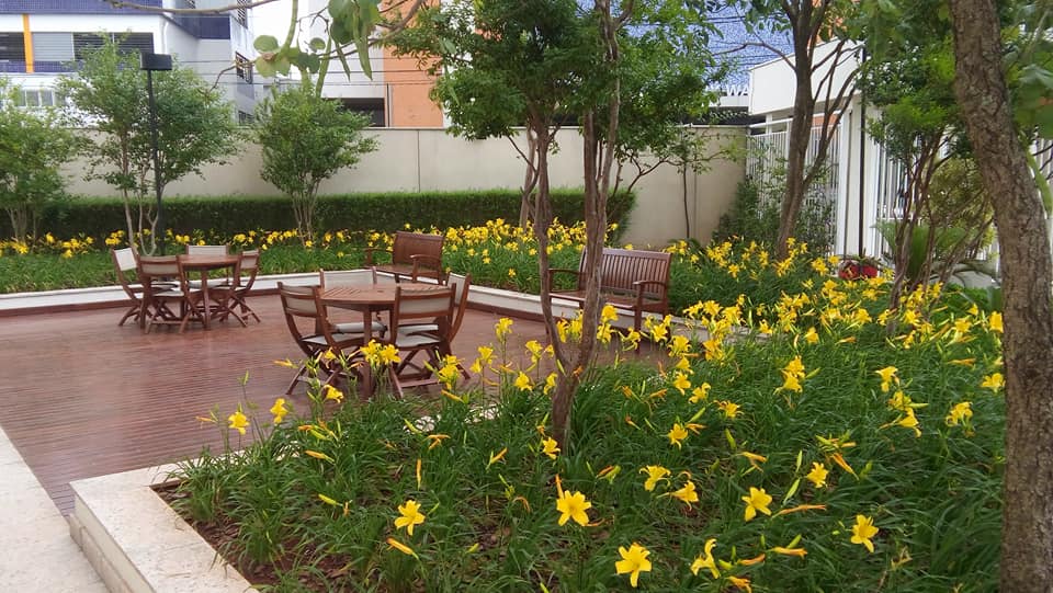 Jardim com flores amarelas e deck de madeira